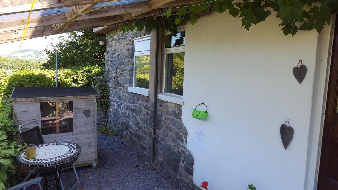 Pen Y Geulan Βίλα Machynlleth Εξωτερικό φωτογραφία